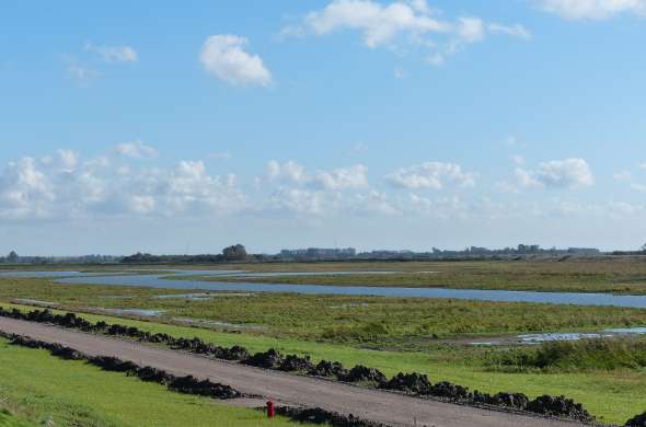 Beeld bij Over Voorne-Putten