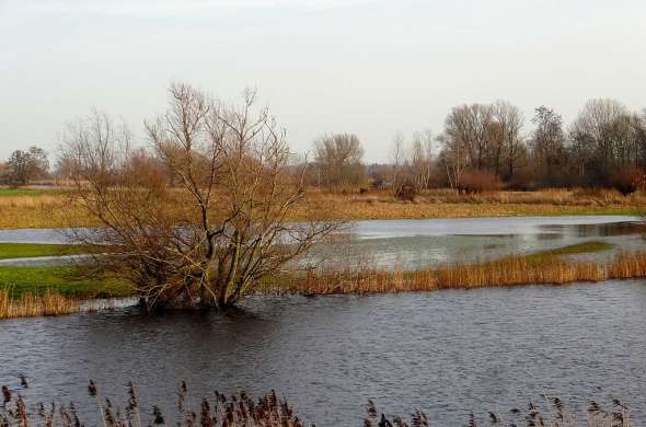 Beeld bij Bloementuin Zwolle