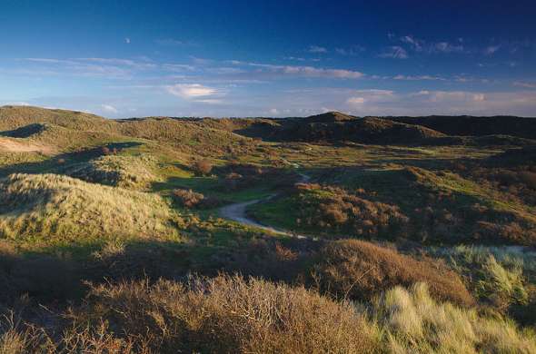 Beeld bij Door Nationaal Park Zuid-Kennemerland