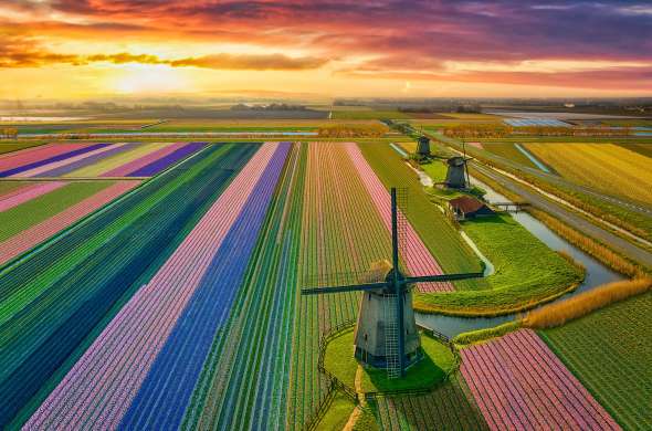 Beeld bij Lisse en Hillegom