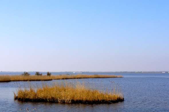 Beeld bij Randmeren Noord