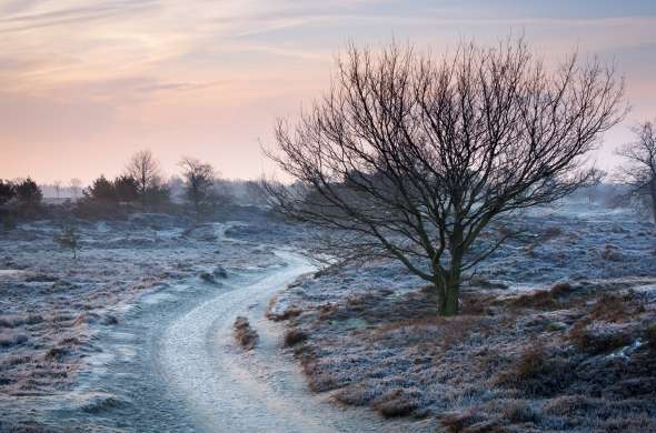Beeld bij Schilders van Drenthe