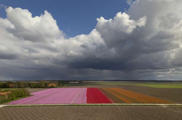 Beeld bij Hollandse luchten