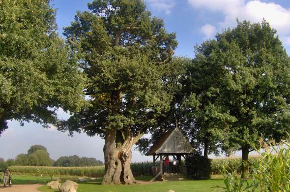 Beeld bij De Kroezeboom