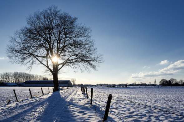Beeld bij Ten noorden van Deventer
