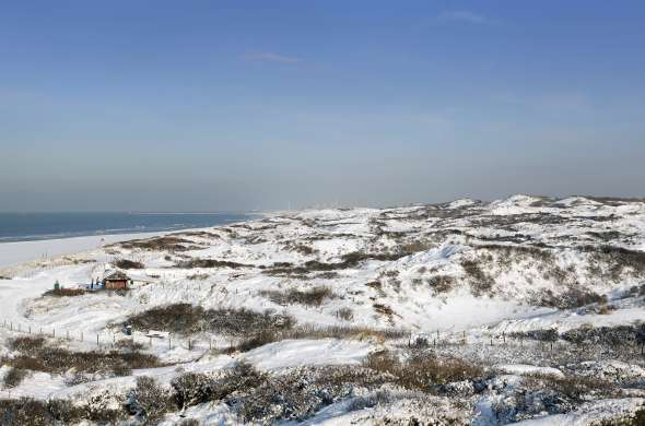 Beeld bij Besneeuwde duinen