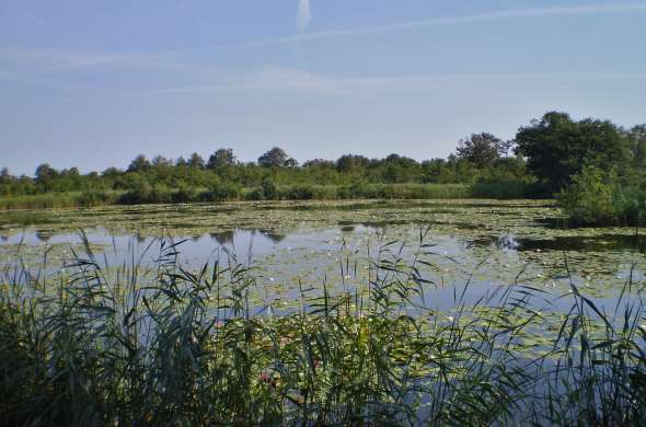 Beeld bij Een route vol water