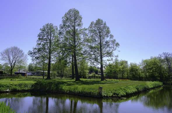 Beeld bij De laatste borg