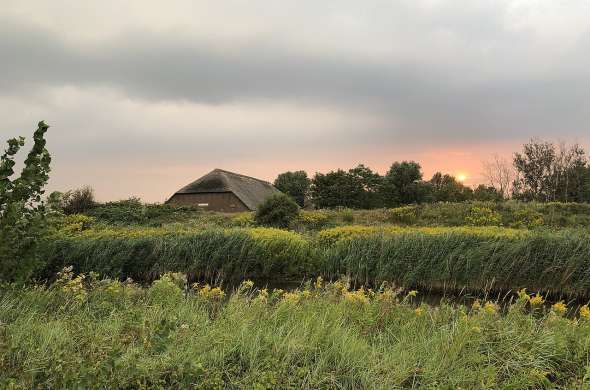 Beeld bij De laatste boer