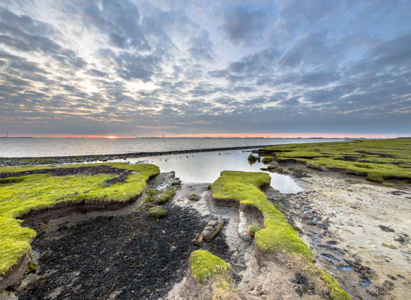 routegids-gr-polder-breebaart-en-de-punt-van-reide.jpg