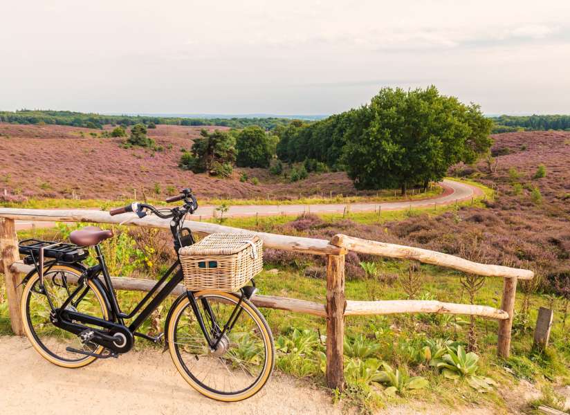 droog baas heel veel De beste e-bike van 2018 volgens de Consumentenbond | Fietsen123